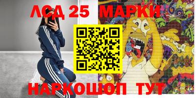 скорость Кандалакша