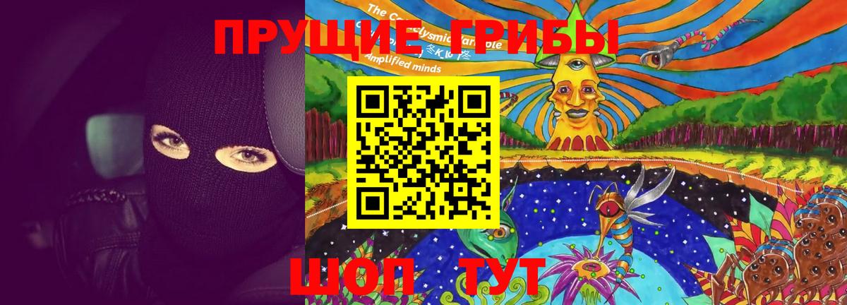 Псилоцибиновые грибы Cubensis Кубинка